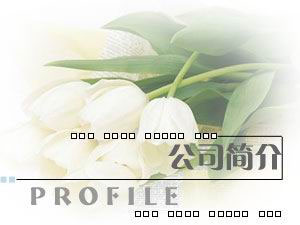 TЖ|늙C޹˾