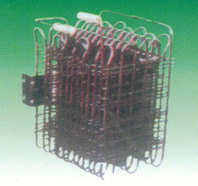 zʽ01